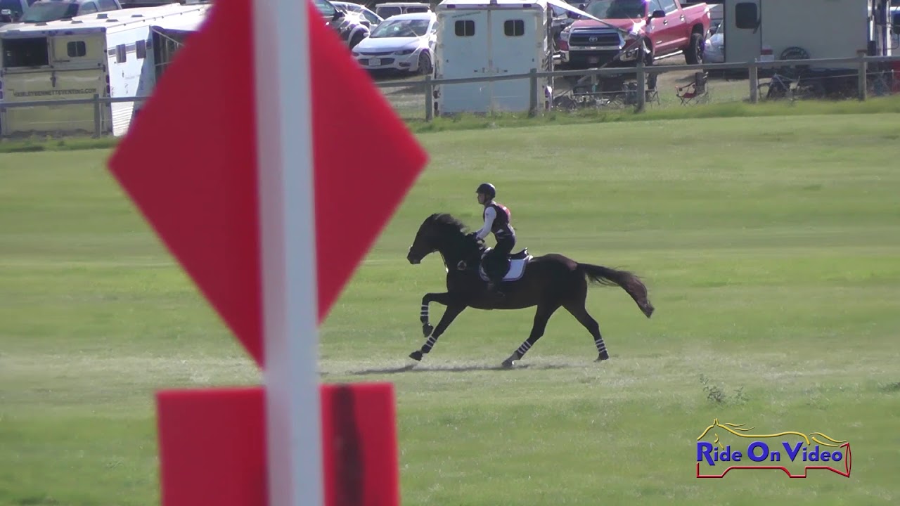 horseshoe bend 403XC Alina Patterson on Flashback JR Training Cross Country Rebecca Farm July 2018