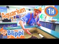 Blippi Visits a Zoo (Point Defiance Zoo & Aquarium) | 1 HOUR BEST OF BLIPPI | Blippi Toys