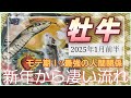 【2025.1月前半🍀】牡牛座さんの運勢🌈新年から凄い流れ！！モテ期😳！?最強のパートナーシップ💓クライマックスを迎える事もありそう✨