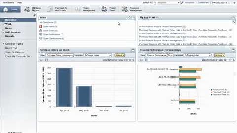 SAP Business ByDesign: Project Resource Management - Product Demo