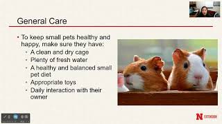 Basic Small Animal Health