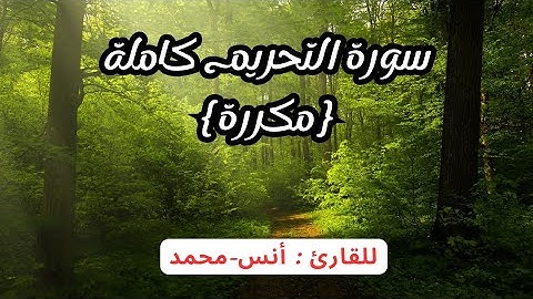 سورة التحريم كاملة{مكررة}للقارئ أنس محمد تلاوة خاشعة للقرآن الكريم/ Surah (Al-Tahrim) Anas Muhammad