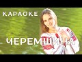 Черемшина КАРАОКЕ текст пісні та мп3 в описі під відео 