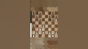 Comprehensive Guide to Rook Endgames Winning Techniques and Strategic Maneuvers Explained