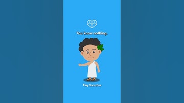 "The only true wisdom is in knowing you know nothing." - Tiny Socrates