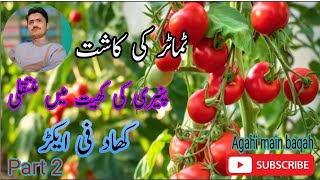 Cultivation of Tomato |||Agahi main baqah screenshot 5