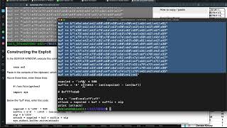 ED 203 Buffer Overflow 3