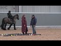 Cobs CAN go Eventing - H&C (Using poles to improve straightness)