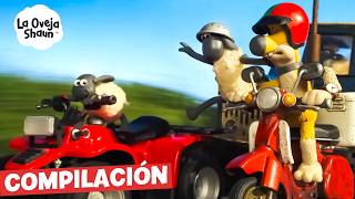 ¡TODOS INTENTAN SALVAR AL BEBÉ TIMMY! 🐑🧸 | La Oveja Shaun (Dibujos Animados Para Niños)