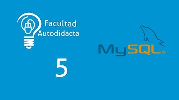 Curso de MySQL con MySQL Workbench | Insertar datos con MySQL. Cap 5