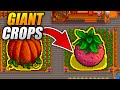 How to GET GIANT CROPS in STARDEW VALLEY FULL GUIDE