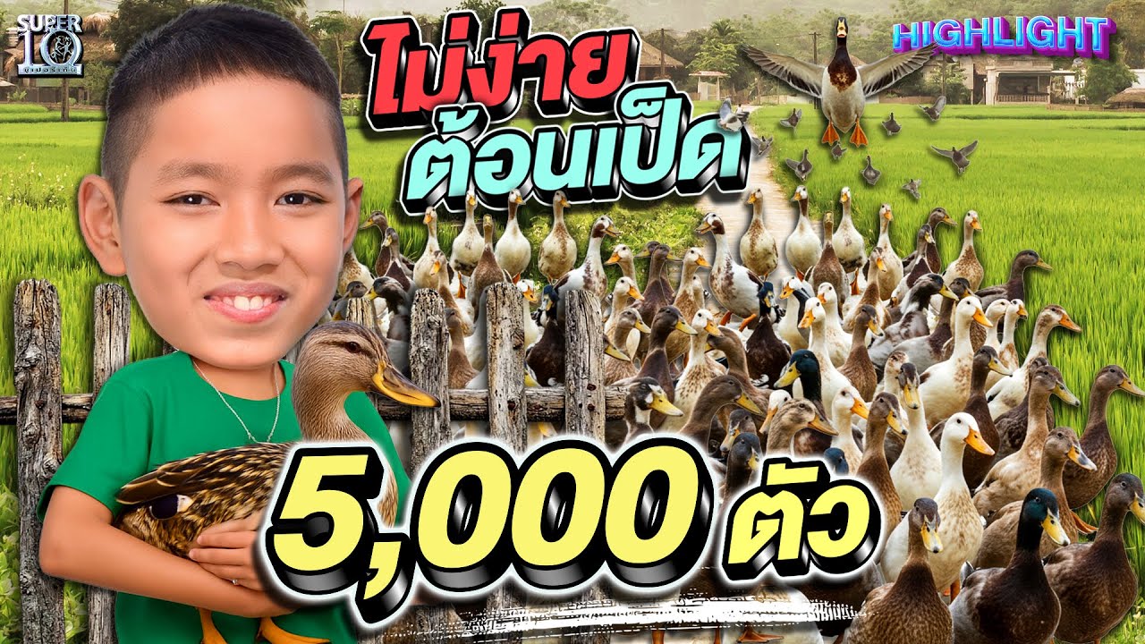 ดูแล้วหอบแทน ต้อนเป็ด 5,000 ตัว #น้องฟลุ๊ค เซียนคัดไข่สัมผัสเทพ แค่จับก็รู้เบอร์ | HIGHLIGHT SUPER10