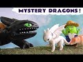 Funny Funlings help How To Train Your Dragon Hiccup and Toothless find mystery dragons TT4U