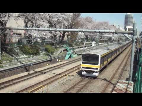 桜×中央緩行線209系500番台 中野～東中野