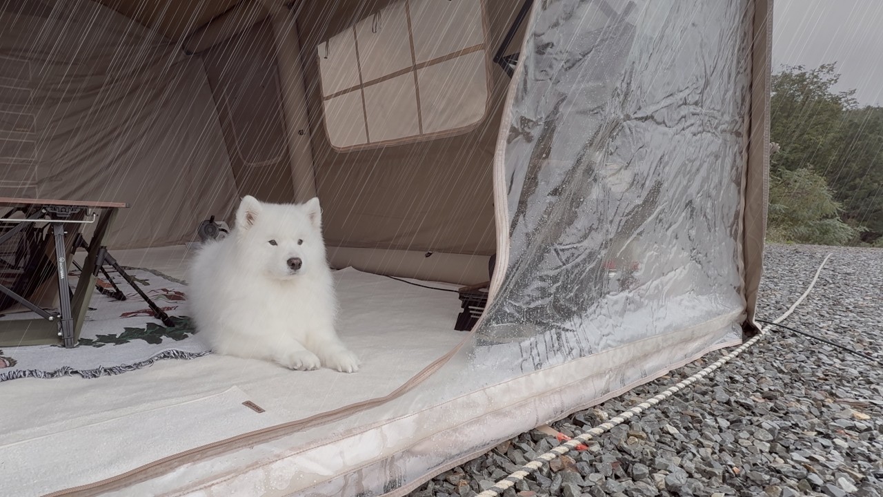 Camping in the rain with my dog.. Are we going to be okay..?