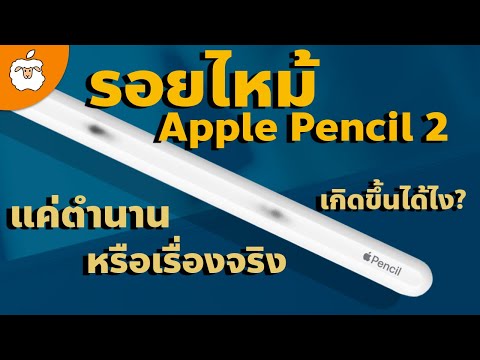 AppleSheep ไขข้อสงสัยเรื่องรอยไหม้ Apple Pencil 2 เรื่องจริงหรือตำนาน? เกิดได้ยังไง ป้องกันได้มั้ย?