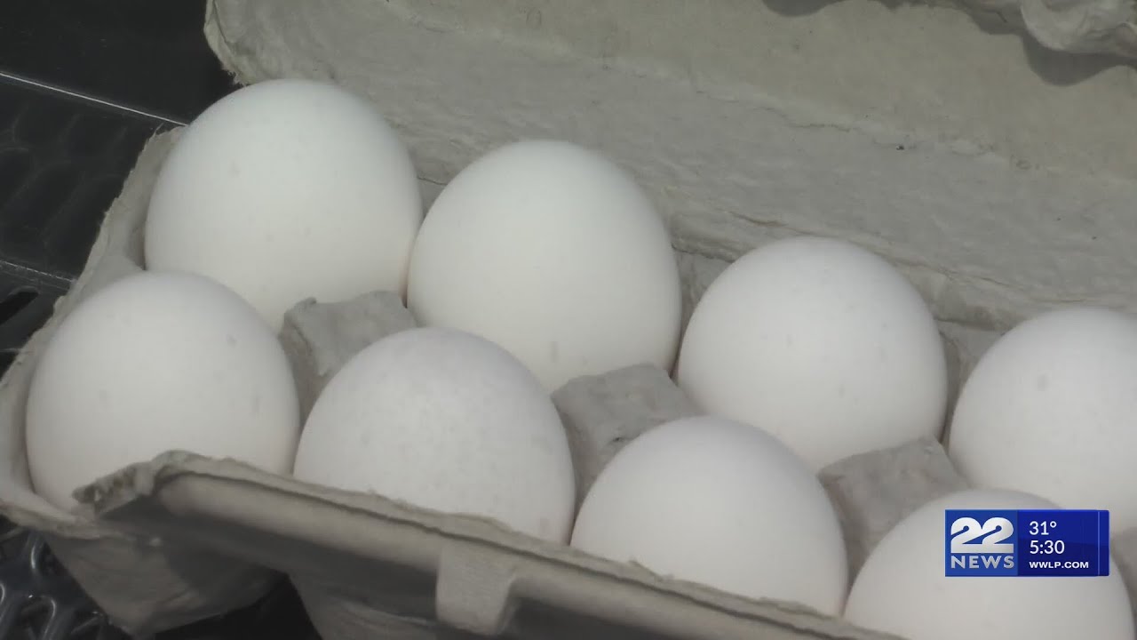 Egg prices rise as bird flu continues to impact supply - YouTube
