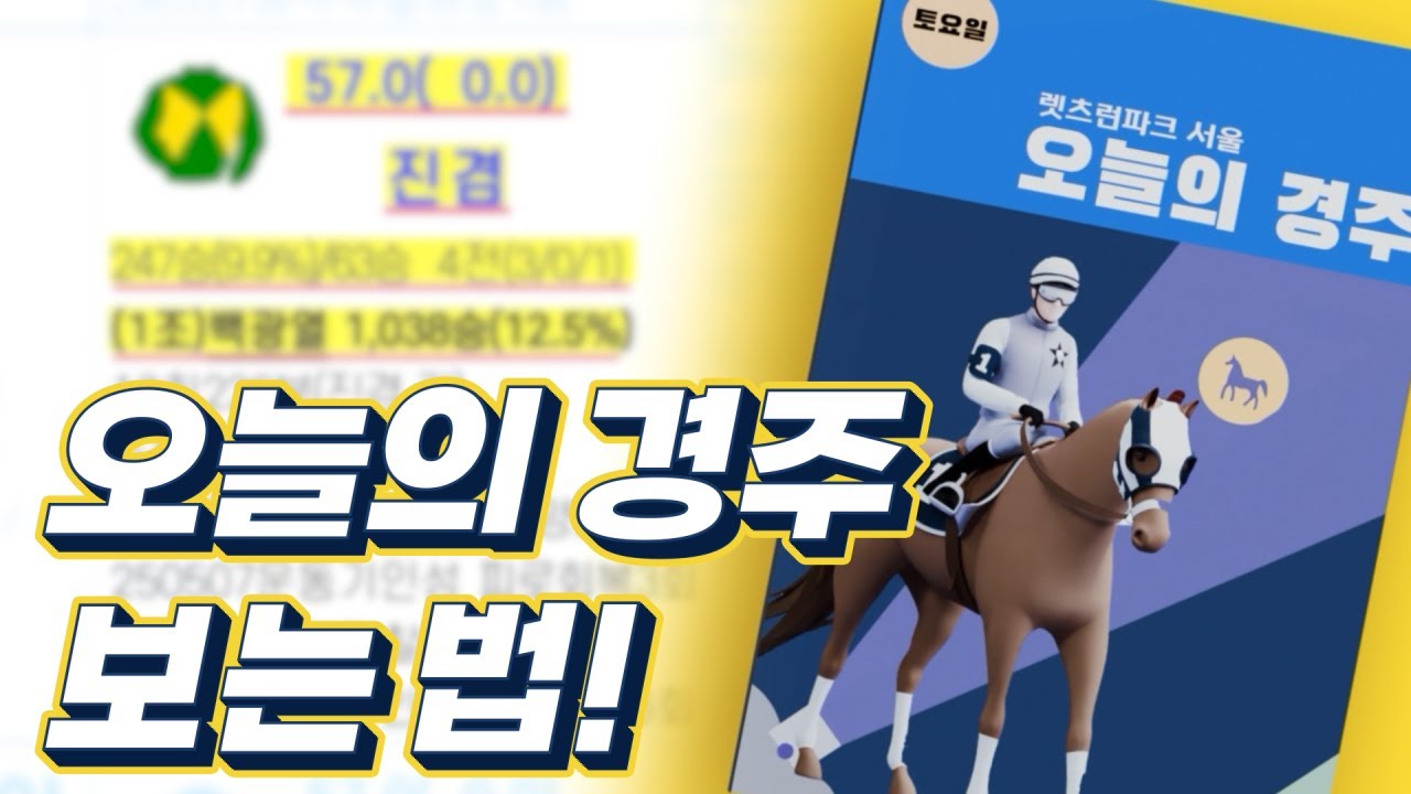 오늘의 경주 보는 방법 ㅣ경마 가이드