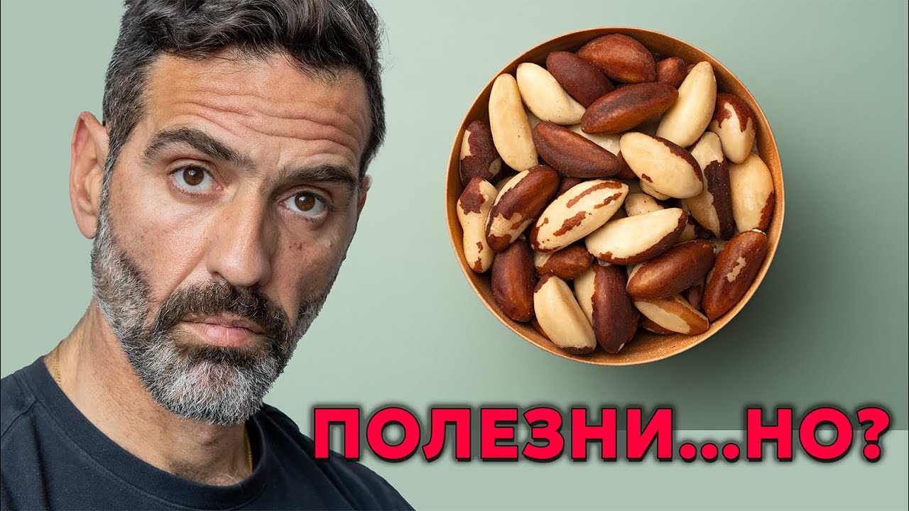 Ядките - Всичко, което Трябва да знаеш!