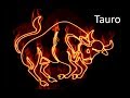 ¿Cómo son los Tauro? | Características del signo Tauro