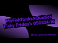 Myfishtanksaquatics fishy fridays 05032416