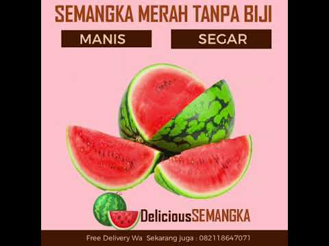 SEMANGKA MERAH TANPA BIJI - YouTube