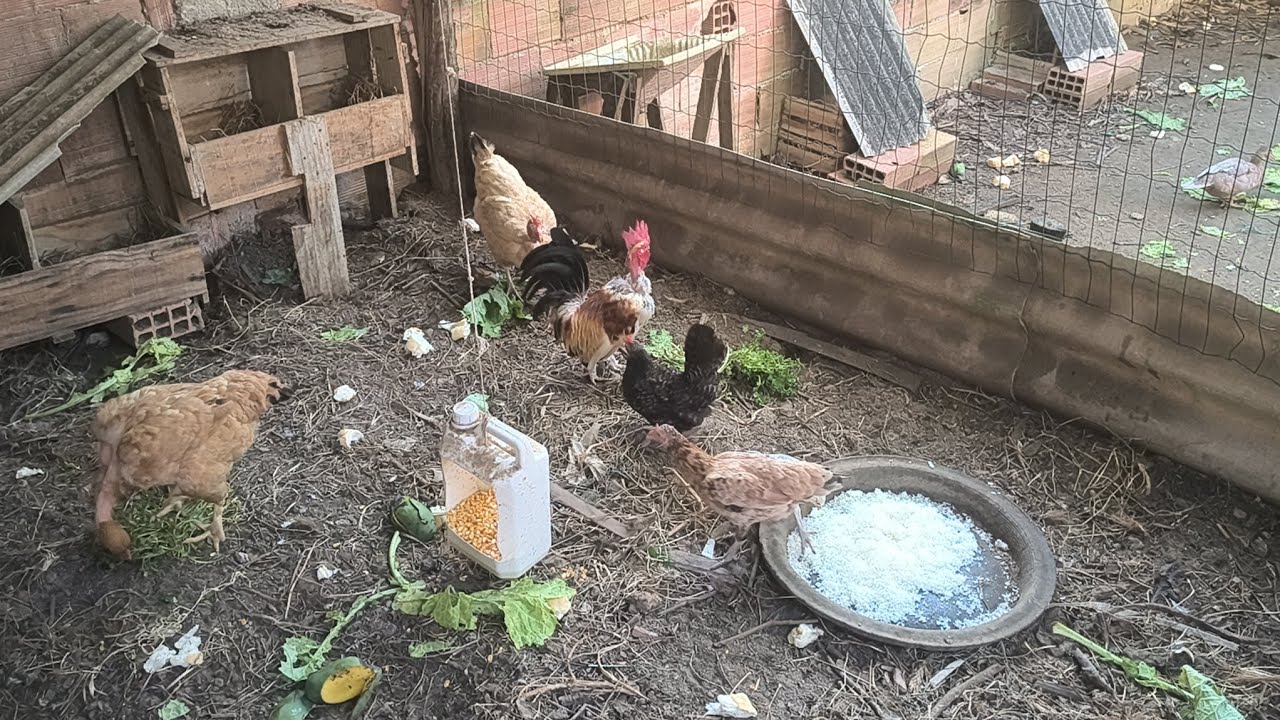 Apenas para manter o contato...está tudo bem graças a Deus. 