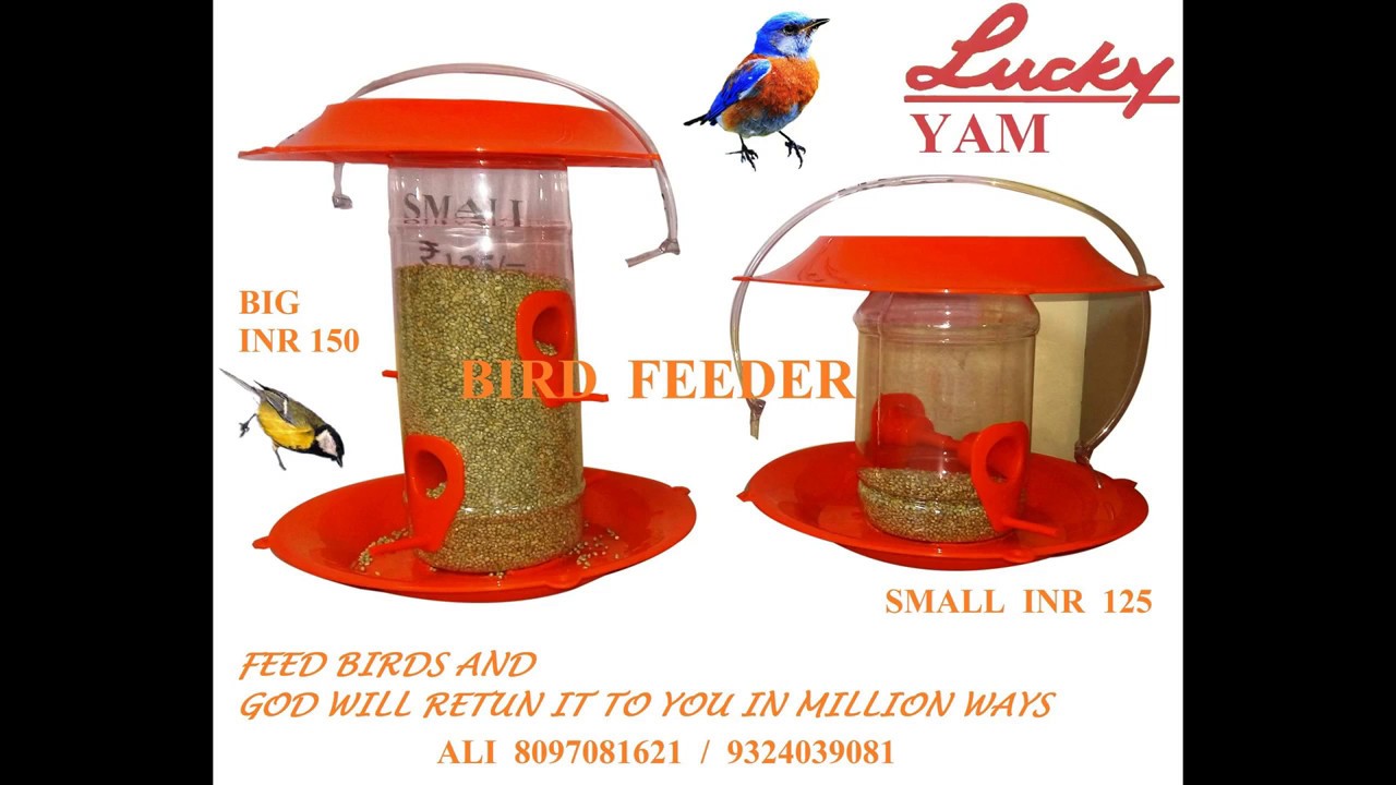 LUCKY Bird Feeder and Water Feeder