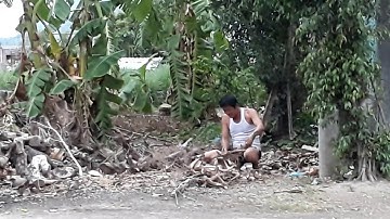 Truoc nha toi co mot cu.nam nay da 85 tuoi.ma ong ta .van bua cui tot.