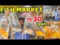 ரூ30 முதல் Fish Market/வண்ண மீன்கள்/Nanga Romba Busy.