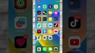 How to download GoodMicPlus in mobile screenshot 3