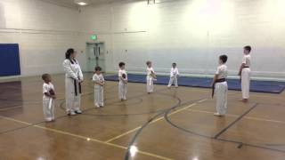 Tiny Tiger Taekwondo blocks