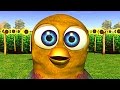 The Chicken Dance -  Kids Songs & Nursery Rhymes