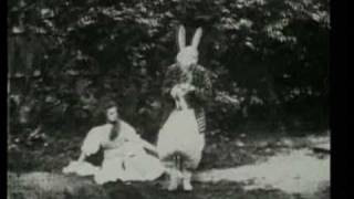 Video voorbeeld van "The Cosmic Dead ▲ The White Rabbit"