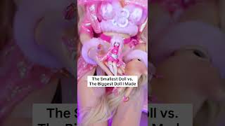 Smallest Vs Biggest Doll I Made