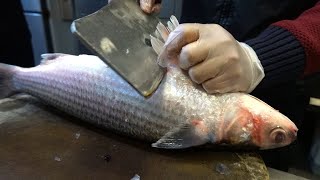 Mullet Cutting Skills  烏魚切割技能- Taiwanese Seafood 