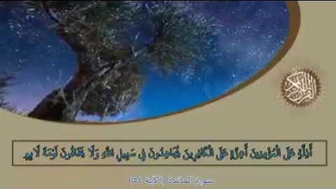 آياتٌ مختارةٌ مِنَ الذكرِ الحكيم سورةُ المائدة الآية (٥٤)#أهل_القرآن_الأبرار