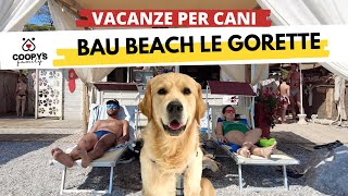 Le migliori spiagge per cani d'Italia |E04| Bau Beach Le Gorette di Cecina, Toscana