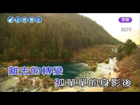 LUYẾN KHÚC 1990 CHINESE KARAOKE tone nam