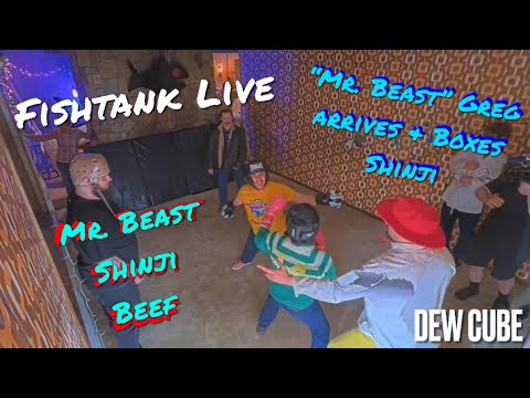 Fishtank Live • Mr. Beast Greg BEEF with Shinji • Mr. Beast Greg BOXES ...