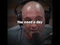 Joe rogan  you need a day a good day