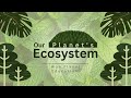 Uncover the Incredible Secrets of an Ecosystem - You Won't Believe What You Find!
