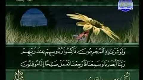 سورة السجدة من الآية 12 الى الآية  20