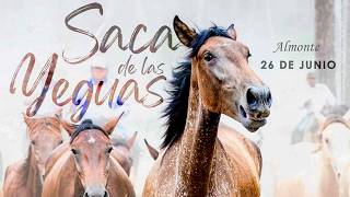 Saca de Las Yeguas 2026 - Paso por El Rocío