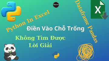 Python Thực Chiến: Điền Vào ô Trống Excel Trong 8 Phút!