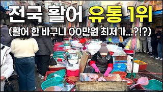 전국 최저가, 활어 유통 1위 '통영' 😂 / 싸도 너무 싼 '참돔/광어/방어' 한 바구니 가격 어떤가요?!?