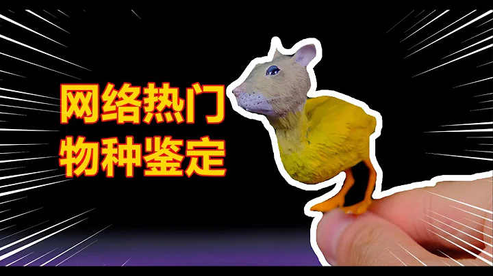 【网络热门物种鉴定】竟然真的有鼠头鸭？#大学搞科研 - 天天要闻