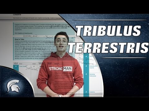 Video: Tribulus nə edir?