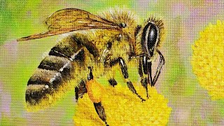 Honey Bee Acrylic Painting LIVE Tutorial