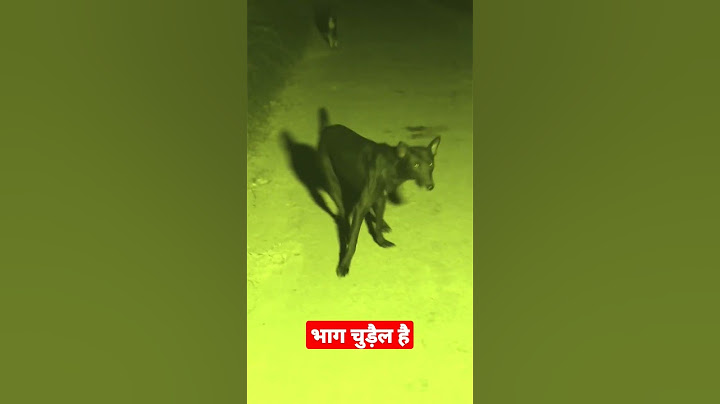 कैमरे में कैद हुआ भयानक दृश्य || #aslibhoot #ghost #bhoot #shorts #shortvideo